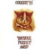 Thunder Perfect Mind