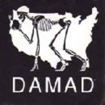 Dam Ol Flag