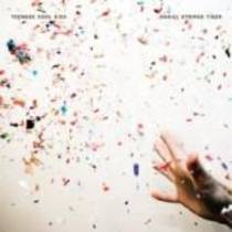 Split 7" avec Teenage Cool Kids