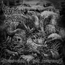 Split avec Mortal Decay