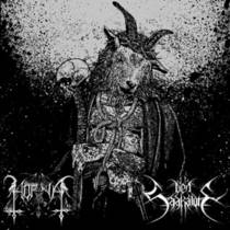 Split avec Horna