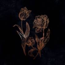 Cycles Of Asphodel