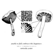 split with Varicella Zoster