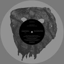 Split avec Amenra
