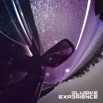 Elusive Experience