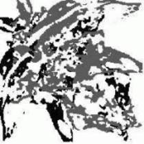 Demo