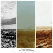 How To See Beyond Fields