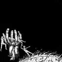 Split avec Barghest