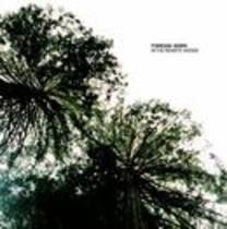In The Remote Woods (EP)