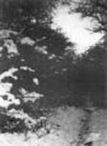 The 3rd Winter