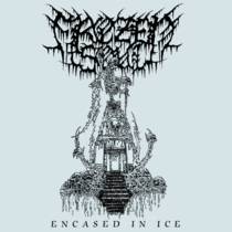 Encased In Ice