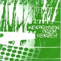 Inspiration From Forest