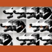 III