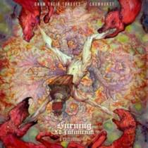 Burning Ad Infinitum (avec Crowhurst)
