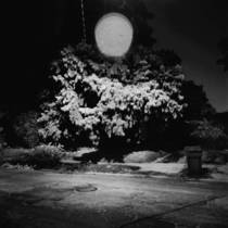 The Night You Caught On Fire / Clinging