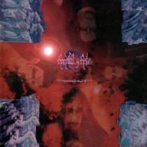 Hierarchy 1999