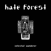 Celestial Wanderer
