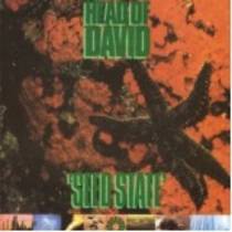 Seed State
