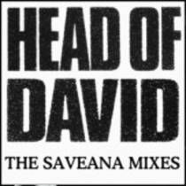 The Saveana Mixes
