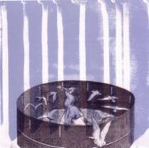 Fog 7"