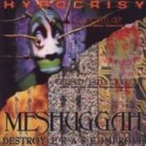 Split avec Meshuggah