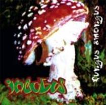 Fungus Amongus