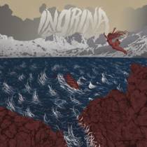 Stolidity