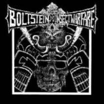 Split avec Bolt Stein