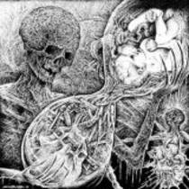 Split avec Flagitious Idiosyncrasy In The Dilapidation