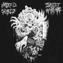 Split avec Hatred Surge
