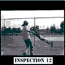 Inspection Twelve