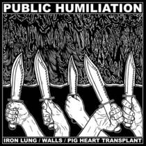 Public Humiliation (split avec Walls, Pig Heart Transplant)