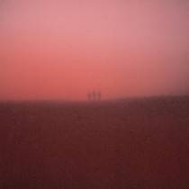 Fog Infinite