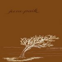 June Paik