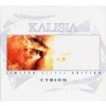 Cybion