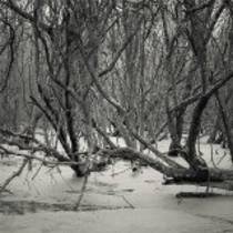 Cold And Distant, Not Loving