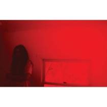 Degrida/Sick Bed