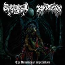 The Ruination Of Imperialism (split avec Terminal Nation)