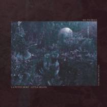 Split /w Vivresavie & Young Mountain