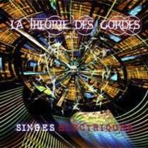 Singes Electriques