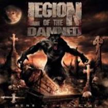 Sons Of The Jackal