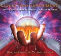 Liquid Trio Experiment - Spontaneous Combustion