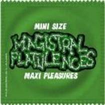 Mini Size, Maxi Pleasures