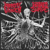Split avec Hatred Surge