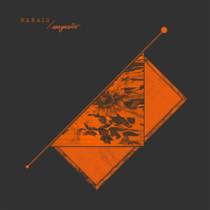 Split w/ AUSZENSEITER