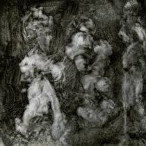 With Animals (avec