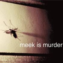 Mosquito Eater