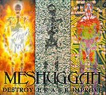 Destroy Erase Improve