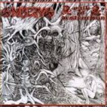 Path of Destruction 12"