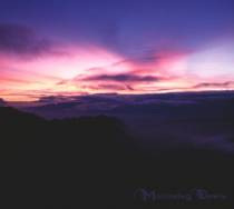 Mourning Dawn